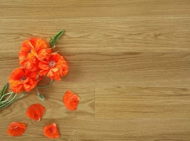 Межкомнатные двери Межкомнатные двери